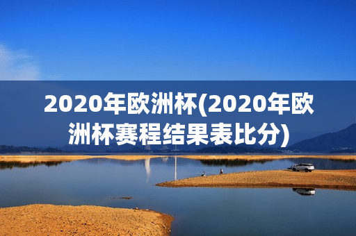 2020年欧洲杯(2020年欧洲杯赛程结果表比分)