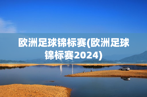 欧洲足球锦标赛(欧洲足球锦标赛2024)