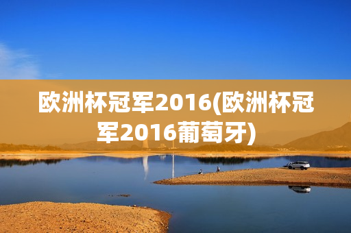 欧洲杯冠军2016(欧洲杯冠军2016葡萄牙)