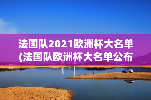 法国队2021欧洲杯大名单(法国队欧洲杯大名单公布)