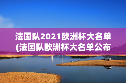 法国队2021欧洲杯大名单(法国队欧洲杯大名单公布)