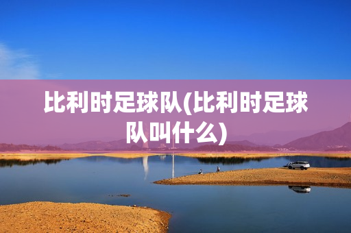 比利时足球队(比利时足球队叫什么)