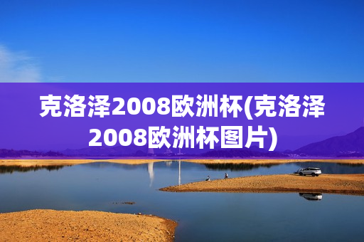 克洛泽2008欧洲杯(克洛泽2008欧洲杯图片)