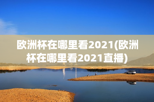 欧洲杯在哪里看2021(欧洲杯在哪里看2021直播)